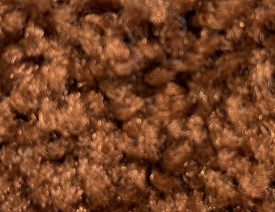 無地マット ブラウンの参考写真