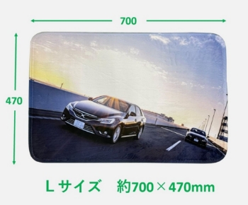 Lサイズ 約700X470mm